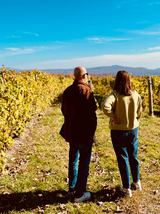 Promenade au vignoble